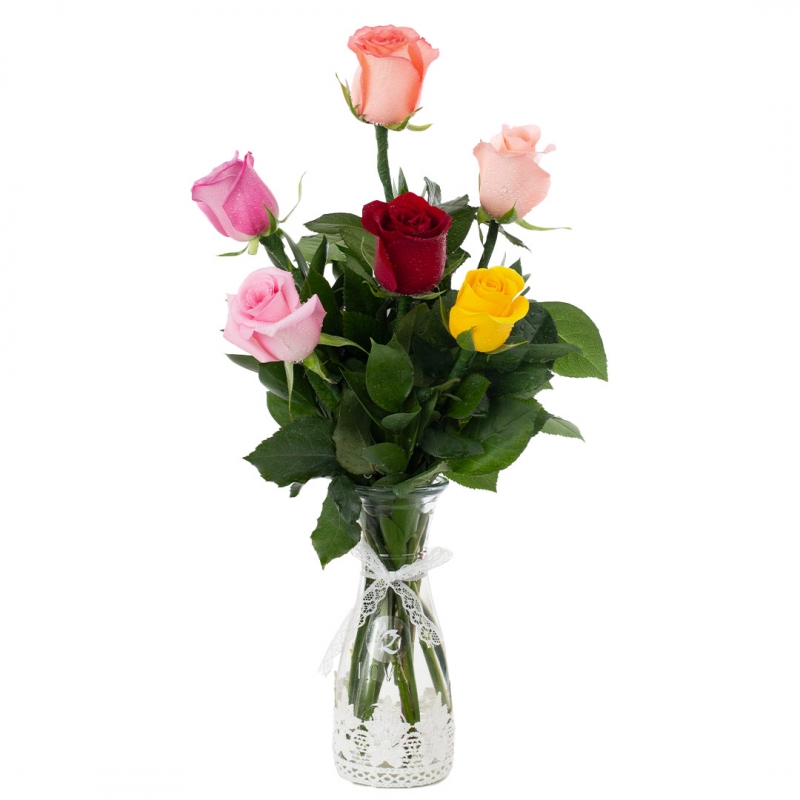Vase of 6 mixed roses