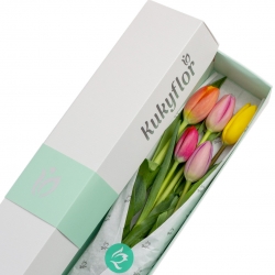 Caja de 5 tulipanes mixtos