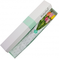 Caja de 5 tulipanes mixtos