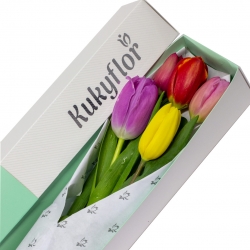 Caja de 5 tulipanes mixtos