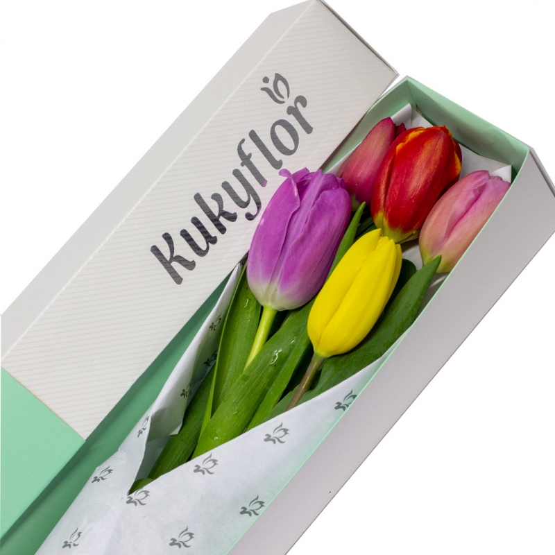 Box 5 Tulips