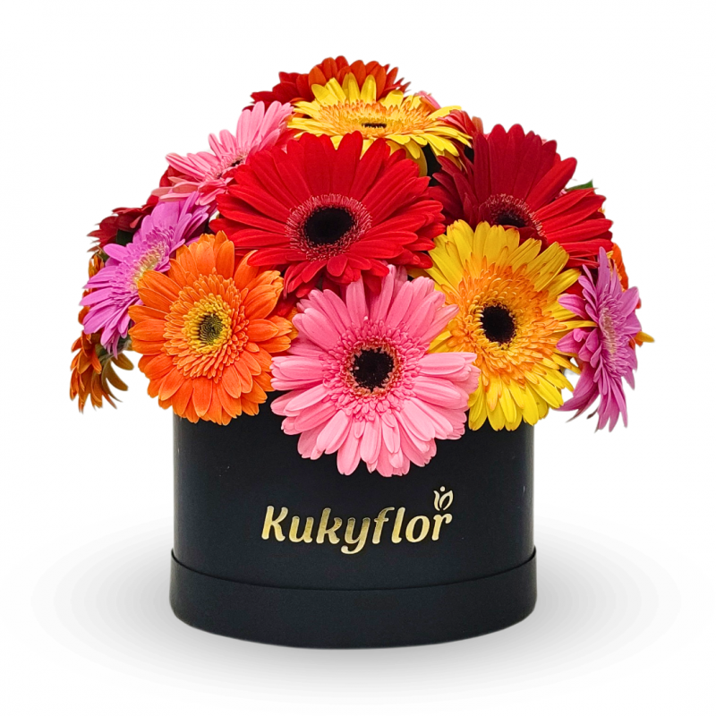 Hat box with 20 multicolored gerberas