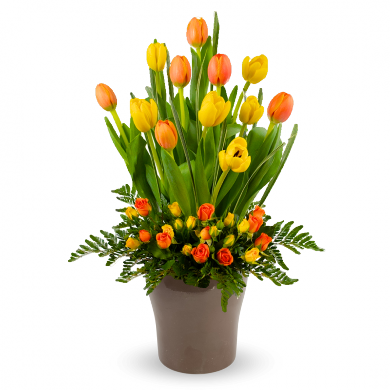 Arrangement of 12 tulips and mini roses on a ceramic base