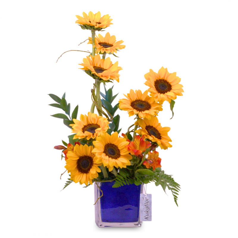 Sayda cubo de 9 girasoles