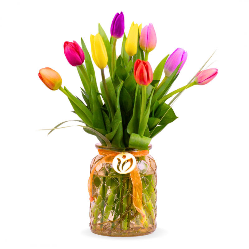 Florero 10 Tulipanes Multicolor