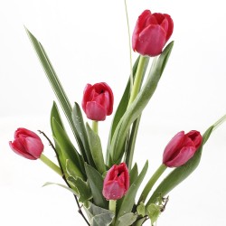 Florero de 5 tulipanes rojos