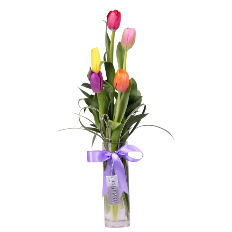 Florero de 5 Tulipanes Multicolor D