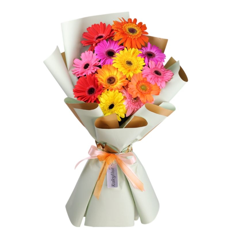 Catarí Bouquet of 12 Multicolored Gerbera Daisies