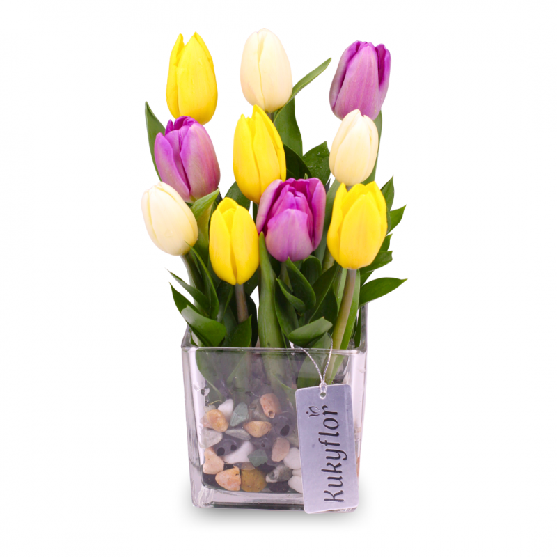 Arreglo 10 Tulipanes