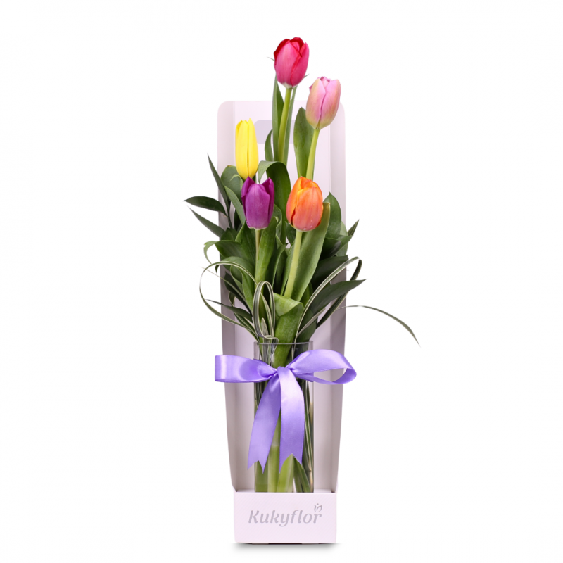 5 multicolored tulips in a vase D