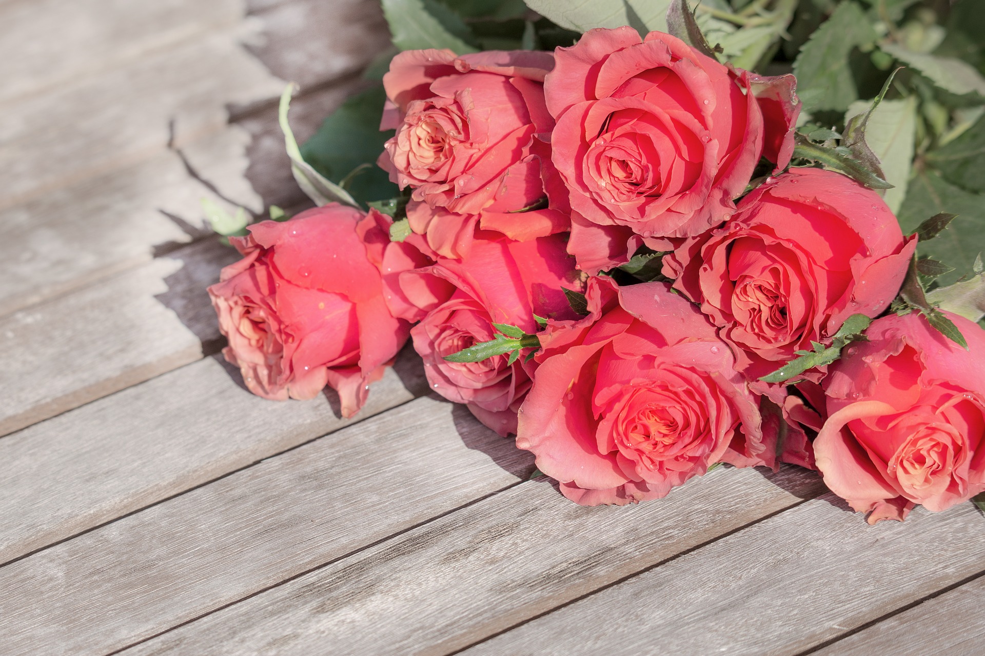 Qué son las Flores Preservadas, cuánto duran, cómo cuidarlas