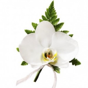 Corsage de orquídea