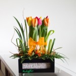 Bandeja con 8 tulipanes.