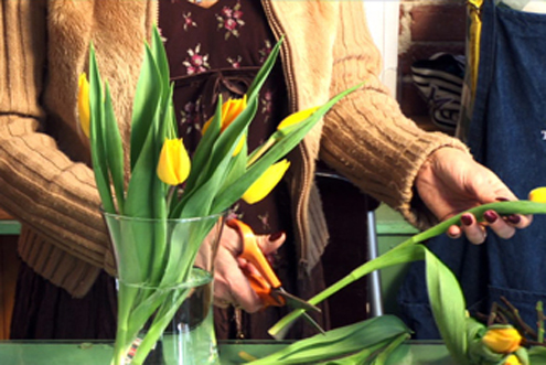 cuidado-flores-tulipanes-jarron-arreglo