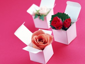 flores-regalo-cajas-rosa