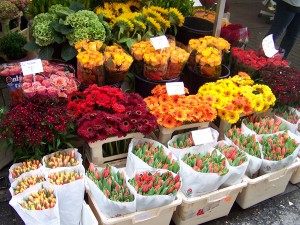 mercado-flores-frescas-gerberas-tulipanes-rosas-girasoles