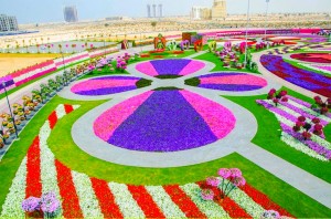 Dubai-Miracle-Garden-jardin-flores