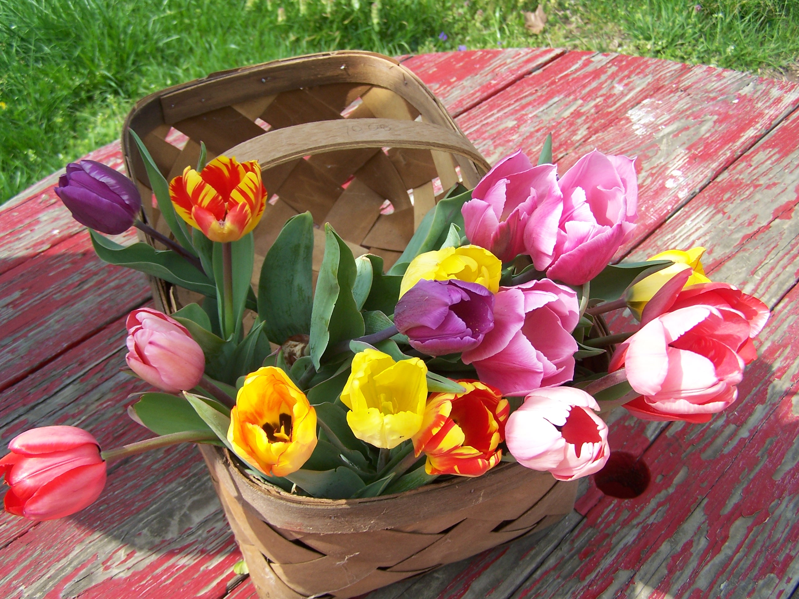 Kukyflor | Cuatro Razones para decorar con Tulipanes