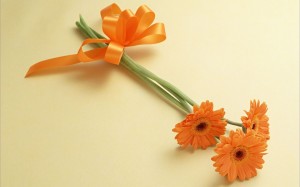 gerberas-naranja-regalo-moño-cinta