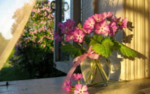 florero-ventana-flores-verano-sol