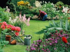 cuidar-jardin-plantar-flores-plantas