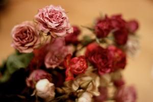 flores-secas-rosas-arreglo-floral