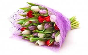 ramo-de-tulipanes-rojo-lila-blanco