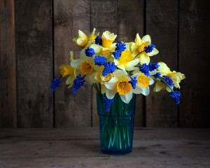 Flores amarillas y azules en florero.