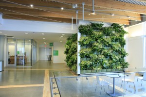 Downtown-Market-Indoor-Vertical-Garden