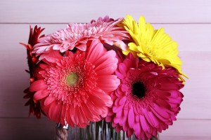 Beautiful bright gerberas in vase on wooden background