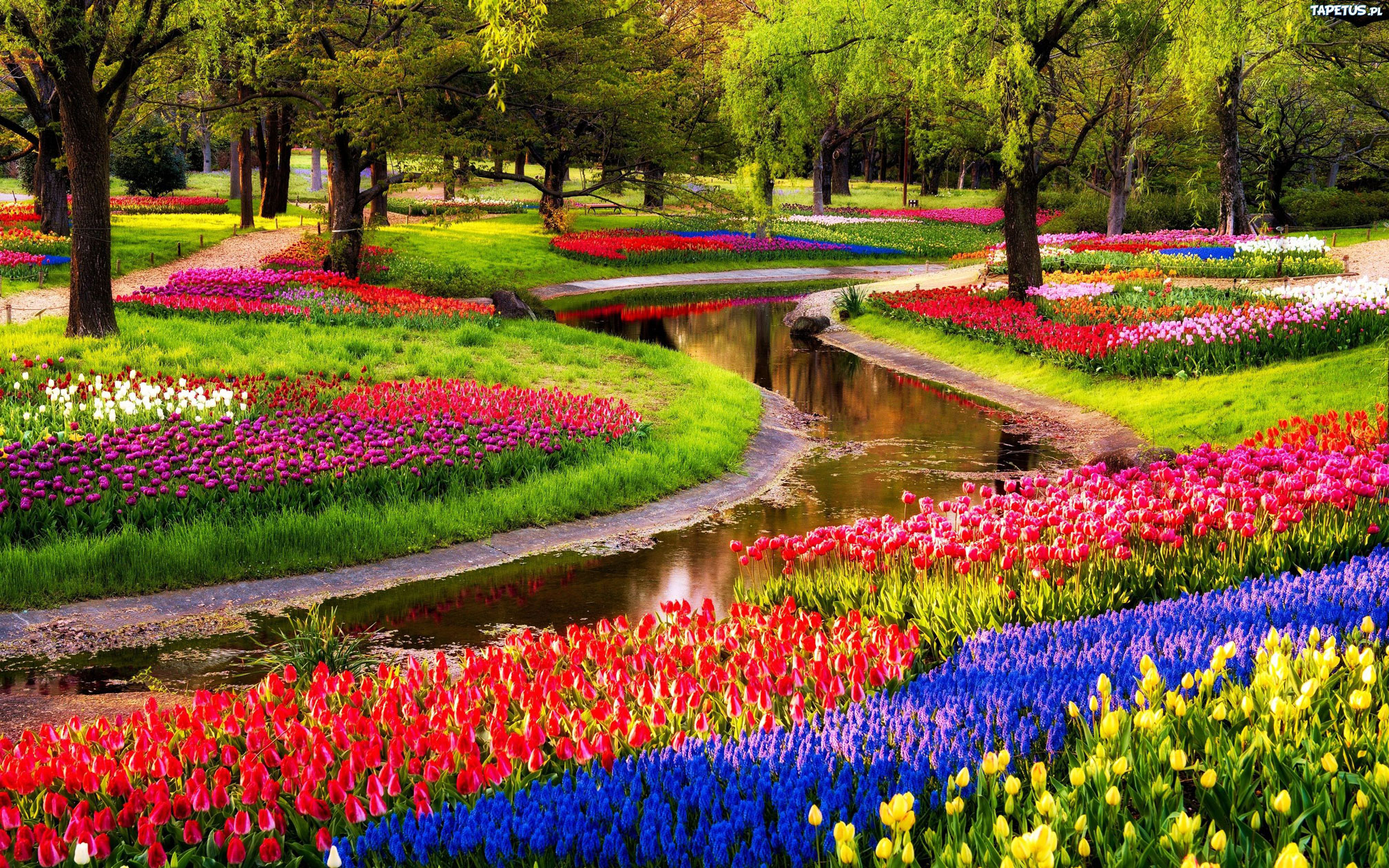 Keukenhof: Los campos de flores más espectaculares del mundo