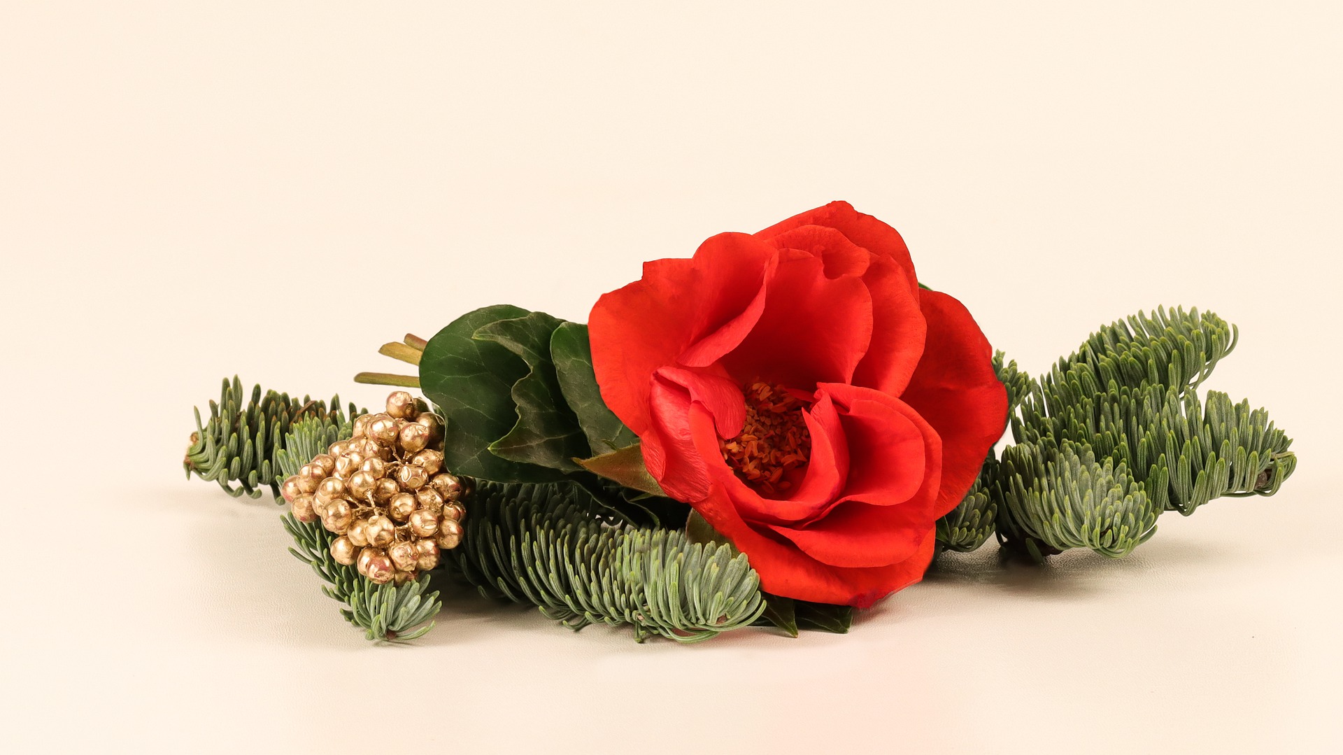 Kukyflor | Llegó la temporada para enviar flores navideñas