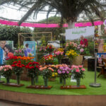 Peruflora stand Kukyflor