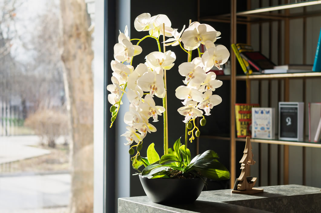 Nearly Natural Arreglo floral de orquídeas y suculentas