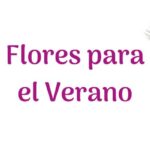 Flores para el Verano